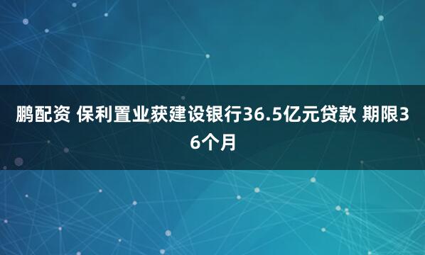 鹏配资 保利置业获建设银行36.5亿元贷款 期限36个月