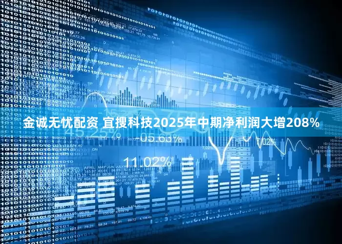 金诚无忧配资 宜搜科技2025年中期净利润大增208%