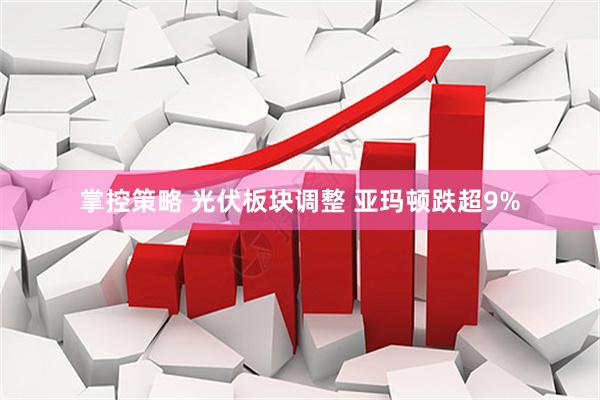 掌控策略 光伏板块调整 亚玛顿跌超9%