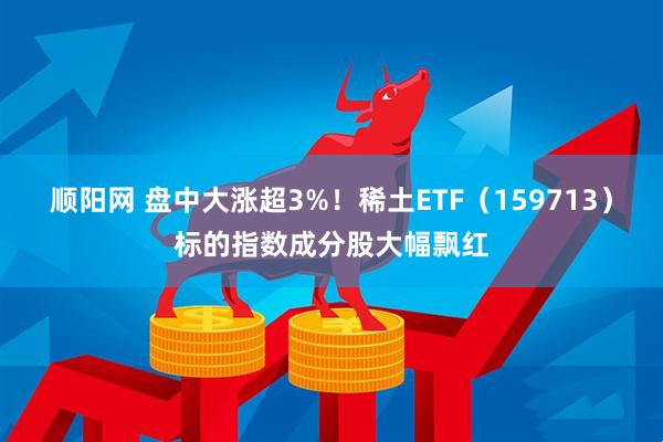 顺阳网 盘中大涨超3%！稀土ETF（159713）标的指数成分股大幅飘红