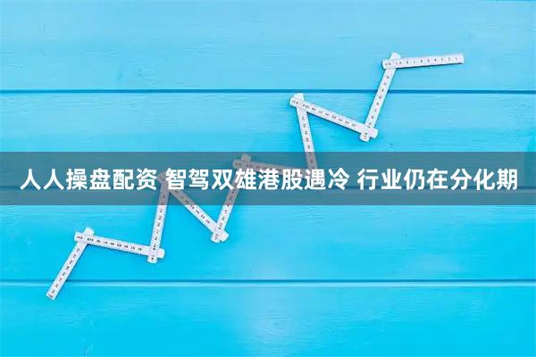 人人操盘配资 智驾双雄港股遇冷 行业仍在分化期